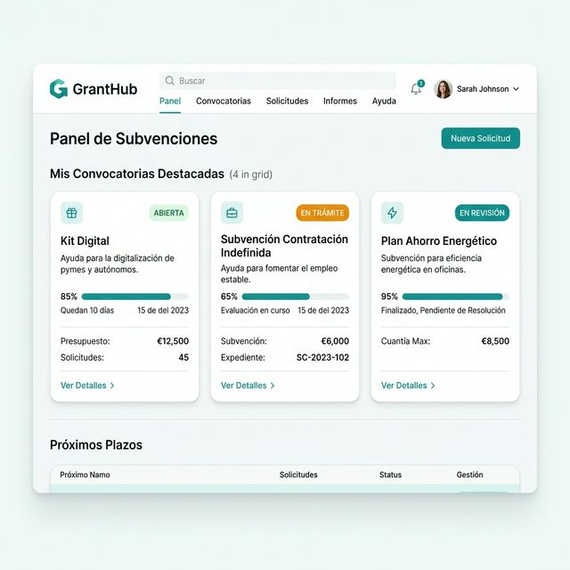 Panel de Control de Ayudas y Subvenciones